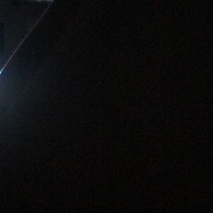 Meet your Posher, Joey